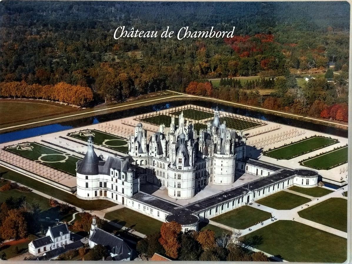 Villa Gite Du Domaine De Juliette Location Proche Du Zoo De Beauval Et Des Chateaux Selles-sur-Cher Exterior foto